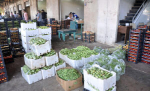 لهذا السبب انخفضت الأسعار في هال طرطوس ؟!