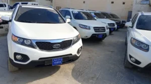 خبير اقتصادي: 5 مليار دولار لاستيراد السيّارات في سوريا ؟!