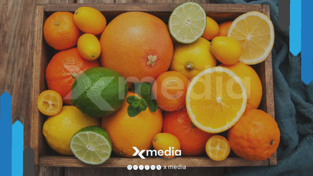 سيناريو متكرر.. أزمة الحمضيات في سوريا دون حلّ!