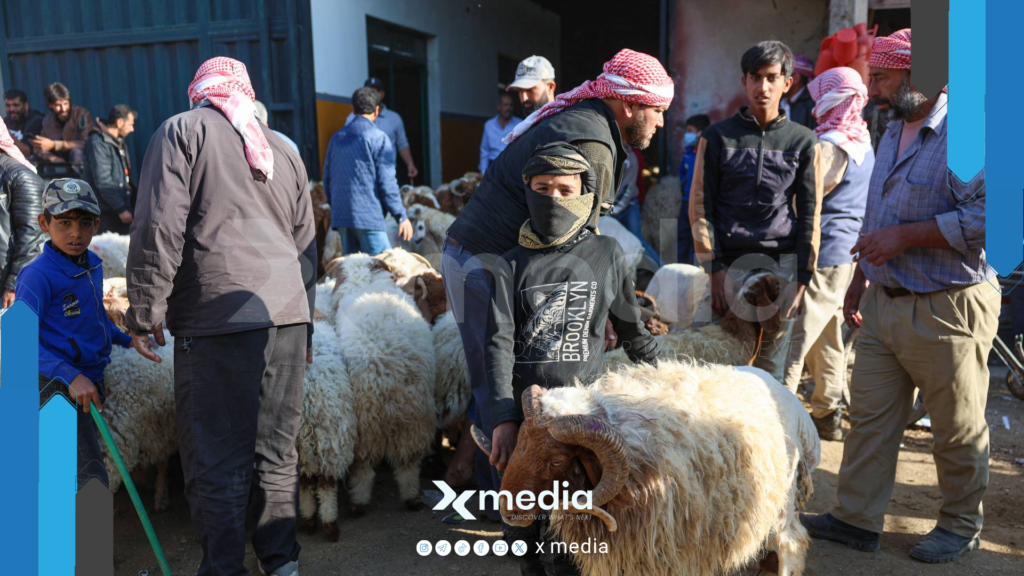 عيد الأضحى يقترب.. والأضاحي خارج قدرة معظم العائلات السورية