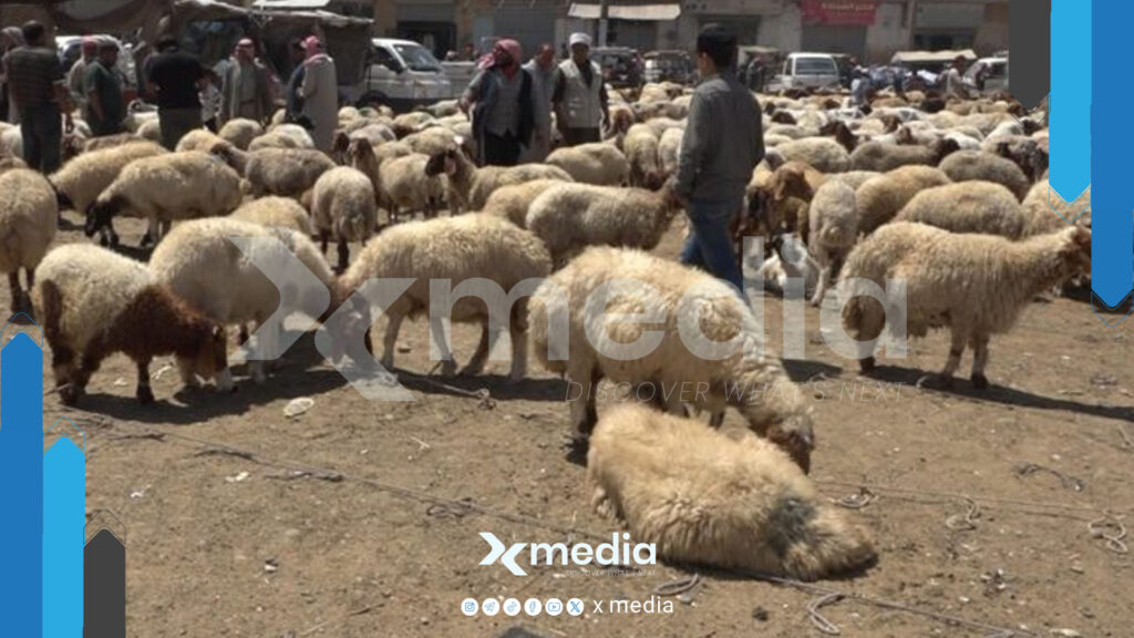 أسعار الأضاحي واللحوم تحلّق في سوريا قبيل عيد الأضحى !