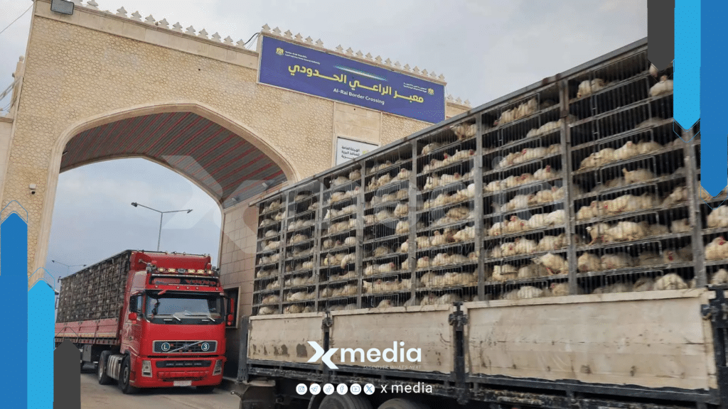 سوريا تسمح باستيراد الفروج الحي من تركيا.. مخاوف على المنتج المحلي وجدوى القرار