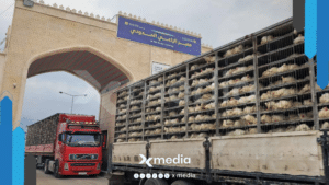 سوريا تسمح باستيراد الفروج الحي من تركيا.. مخاوف على المنتج المحلي وجدوى القرار